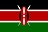 League flag