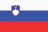 League flag