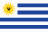 League flag
