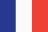 League flag