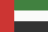 League flag