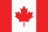 League flag